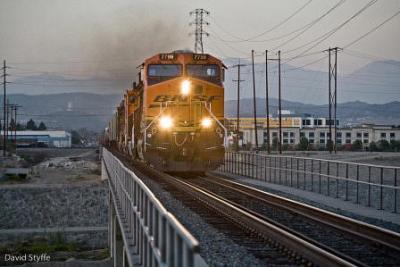 Daygo_oliveSub2 (448 x 299)