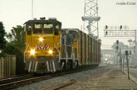 UPCM_Local2chriswalker (600 x 396)