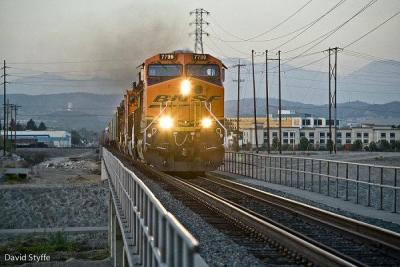 Daygo_oliveSub (600 x 400)