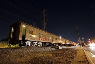 0455b-animal-cars-rbbx-anaheim (600 x 400)