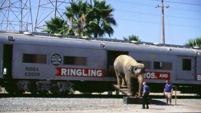 85080007wide (600 x 337)