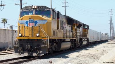 IMG_0738wide (600 x 338)