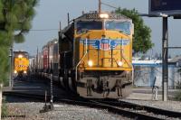 IMG_0796c_filtered_filtered (600 x 400)