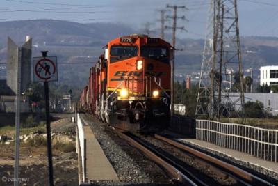 IMG_0392sp_filtered (600 x 400)