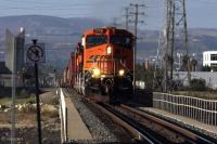 IMG_0392sp_filtered (600 x 400)