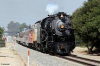 IMG_0667_f (600 x 399)