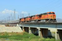 IMG_1960c_f (600 x 400)