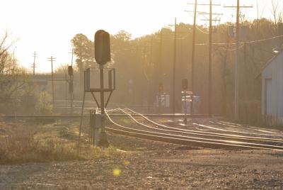 DSC_0013 - Copy (1280x857)