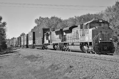 DSC_0009 (3) (1280x846)